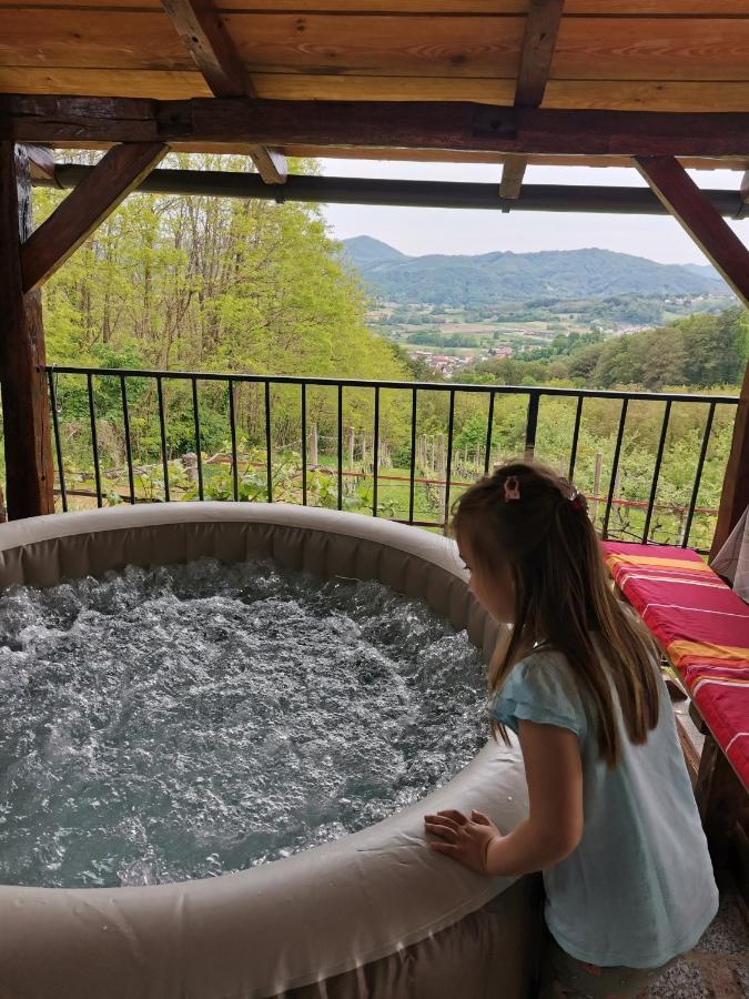Villa Marijana Varazdinske Toplice Ngoại thất bức ảnh